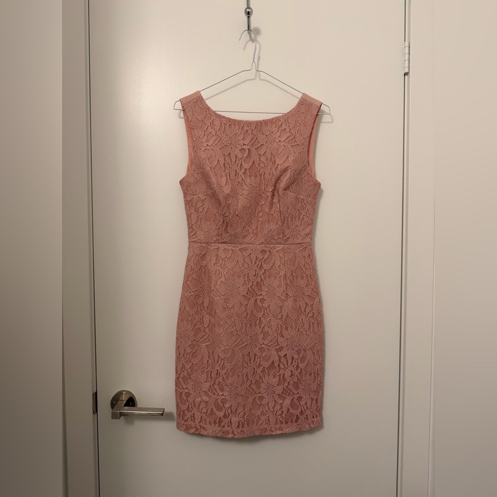 Le Chateau Sleeveless Lace Sheath Dress in Blush Pink